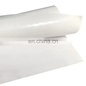 440g/13oz Glossy Frontlit Flex Banner Roll Advertising Material (cold Lamination,500*500 9*9 ) thumbnail-1