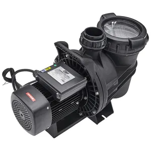 Wholesale Price PB-300 Pump for Swimming Pool 3HP Circulation Water Pump With Brass Motor thumbnail-3