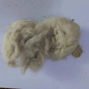Tibetan Raw Greasy Cashmere Fibre 14.5micron With 32/34mm Prompt Shipment thumbnail-4