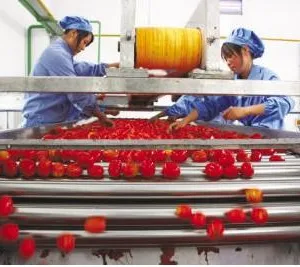 Shanghai Genyond Automatic Red Pepper Paste Making Plant Tomato Ketchup Processing Machine Chili Sauce Production Line thumbnail-6