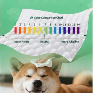 Customized Pet Wet Wipes for Deodorizing and Antibacterial Purposes, Suitable for Cats and Dogs. Large Size, Thick Texture, Non-wash-off. thumbnail-4