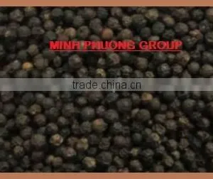 Black Pepper thumbnail-1