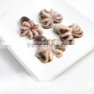 China Manufacturer Supply Fresh Sea Food Frozen Baby Octopus thumbnail-1