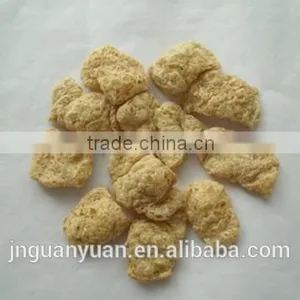 Soy Protein and Textured Soy Protein Production Line thumbnail-4