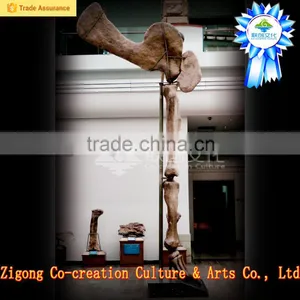 Dino Park Outdoor Museum Adventure thumbnail-6