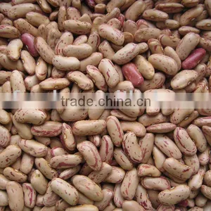 Pink Beans thumbnail-1