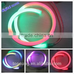 Garden Decoration 14*26mm Digital Fled Led Neon Light for Building thumbnail-5