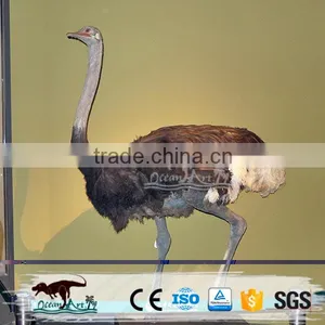 Life Size Animatronic Bird thumbnail-3