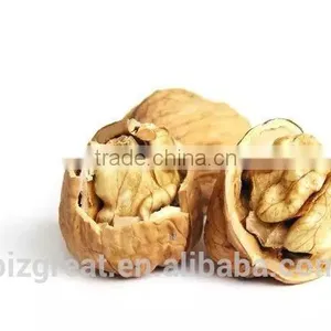 Paper Skin Walnut in Shell With Best Quality thumbnail-2