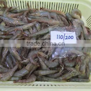FROZEN HOSO POOVALAN SHRIMPS thumbnail-6