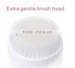 2016 Hot Selling Products Electric Iontophoresis Machine Scalp Cleansing Brush , Facial Cleansing Brush thumbnail-5