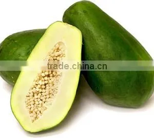 Green Papaya Exporters thumbnail-1
