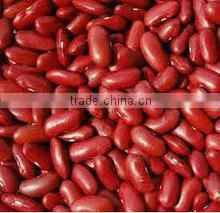 MUNG BEANS thumbnail-5
