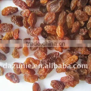 2012 Sultana Raisin thumbnail-1