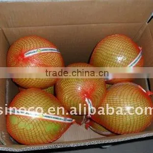 Honey Pomelos (8/9/10/11/12) thumbnail-1