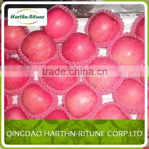 Fresh Apple Fruit of Apple From China thumbnail-1