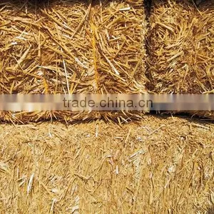 Wheat Straw Hay Bale, Hay for Animal Feeding, Straw Bale, Wheat Hay Bale, Wheat Straw Hay thumbnail-1