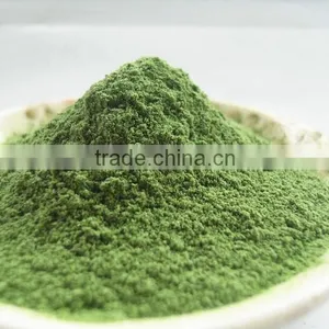 Hot Sale Barley Grass Powder thumbnail-3