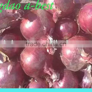 Fres Onion thumbnail-4