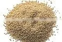 Poppy Seeds White thumbnail-1