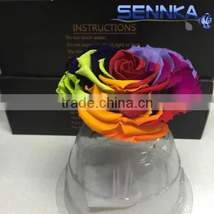 Heartshaped Long Life Rose Preserved Flowers for Arrangement thumbnail-2