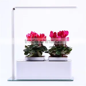 Color Changing Led Grow Light Cob 900w thumbnail-1