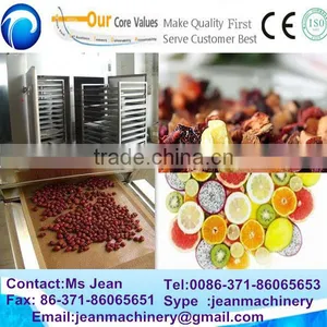 Fruit and Vegetable Dryer Processing Line / Automatic Cart Dryer for Fruit and Vegetable (0086-13683717037) thumbnail-1