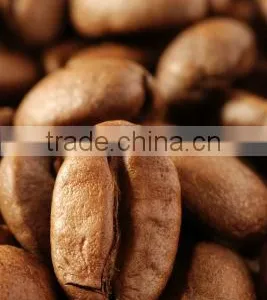 An Thai Specialty Roasted Coffee Beans Bi and Bi1 thumbnail-1