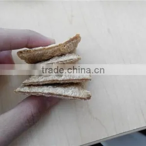 Soya Extruder Jinan Eagle thumbnail-1
