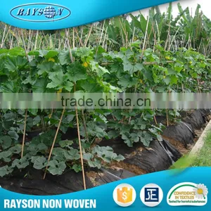 Hot Products Non-Woven Agriculture Black Plastic Mulch Film thumbnail-1