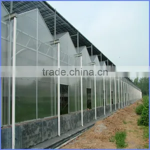 Modern Greenhouse for Agriculture thumbnail-4
