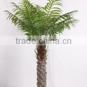 SJ2001205 Home Indoor Using Cocount Plam Tree Factory Outlet thumbnail-2