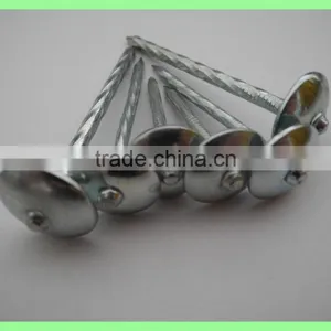 Kenya Umbrella Roofing Nails thumbnail-4