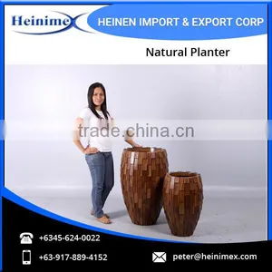 Acasia Wood and Fiber Glass Made Planters at Reasonable Price thumbnail-4