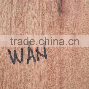 Suriname WAN / Wana Log thumbnail-2