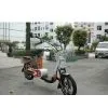 Electric Bicycle thumbnail-1