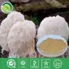 Hericium Erinaceus Powder thumbnail-1
