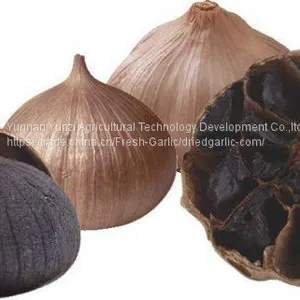 Black Garlic thumbnail-2