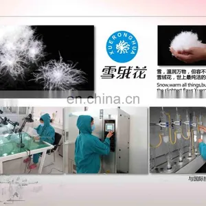 Baoding Xueruisha Feather And Down Products Co., Ltd. company overview - view 1 thumbnail