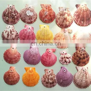DIY Natural Seashell Color Style Charm Shell Accessories for Jewelry Finding thumbnail-3