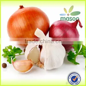 Wholesale Fresh Onion /nutrientional China Origin 2014 New Fresh White Onion Price thumbnail-1