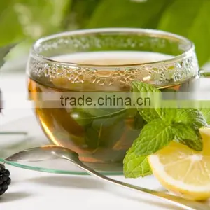 Premium Green Tea At Bulk Producers thumbnail-1