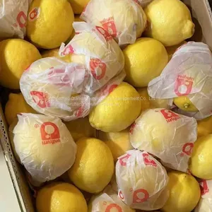 Mango & Lemon thumbnail-2