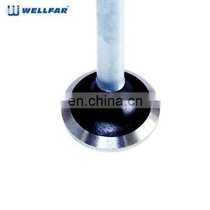 Factory Price Exhaust Valve Engine Valve for Fiat thumbnail-1