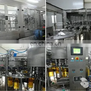 Small Capacity Hawthorn Juice/fresh Fruit Juice Production Line /plant /processing Line /equipment thumbnail-5