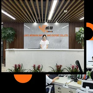 Linyi Weiman Import And Export Co., Ltd. company overview - view 1 thumbnail
