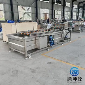 Fruit & Vegetable Bubble Washing Machine Seafood Fruit Vegetable Cleaning Equipment Vegetable Processing Line thumbnail-3