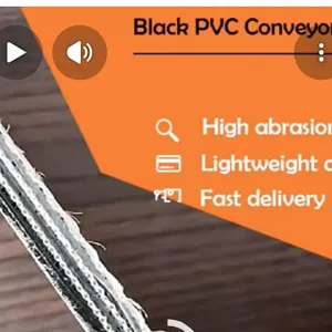 Black Belts for Distribution & Logistics. thumbnail-1