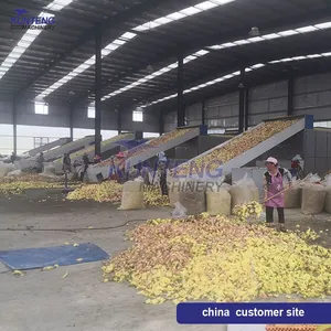 Multi Layer Mesh Belt Flour Peanut Corn Coffee Bean Dryer Automatic Fish Jute Dryer EPC thumbnail-2