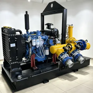 Strong Self-priming Pump thumbnail-5